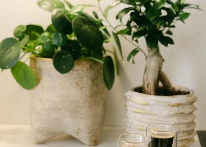 Apartment Millihaus By Homeflow Zermatt